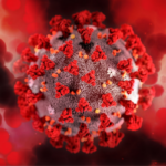 Close-up illustration of a coronavirus particle with red spike proteins against a red, blurred background.