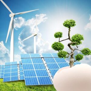 Renewable energy scene showing wind turbines and solar panels with a small tree growing from a white egg, symbolizing sustainable energy growth.